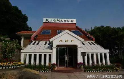 鼓浪屿适合玩半天还是一天,五个小时怎么玩转鼓浪屿