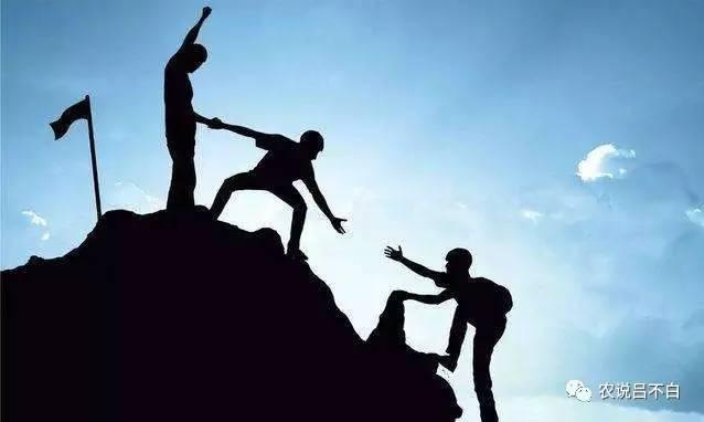 村淘现在怎么样了,马云搞农业