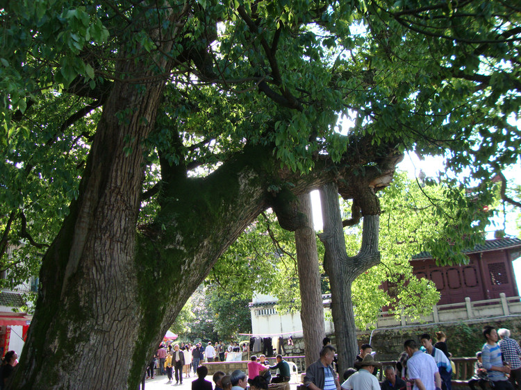 福建邵武旅游景点,南平温泉旅游景点大全