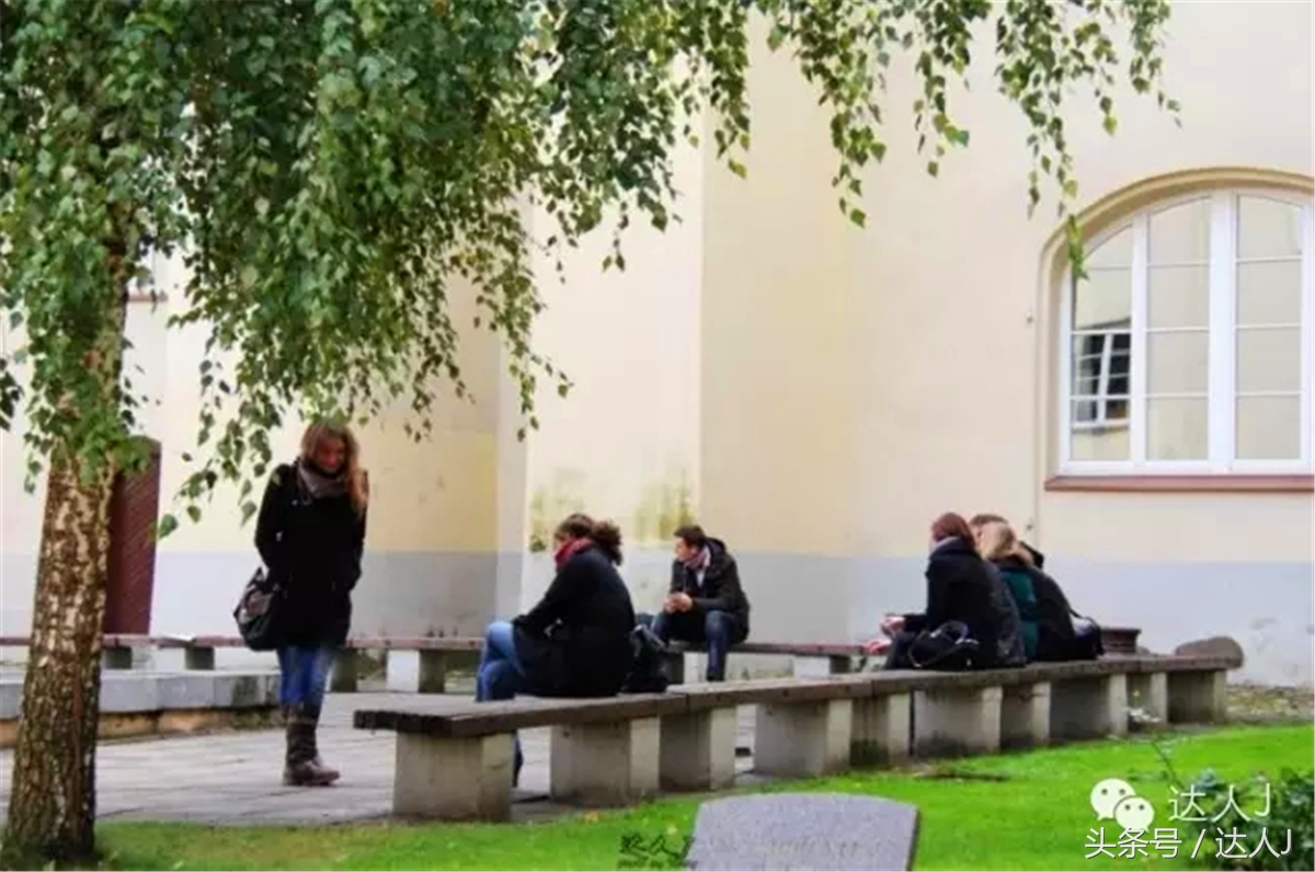 猜猜哪个国家连刺猬都有路牌？