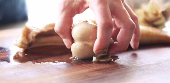 捕捞到各种鱼,捕捞到岸分拣