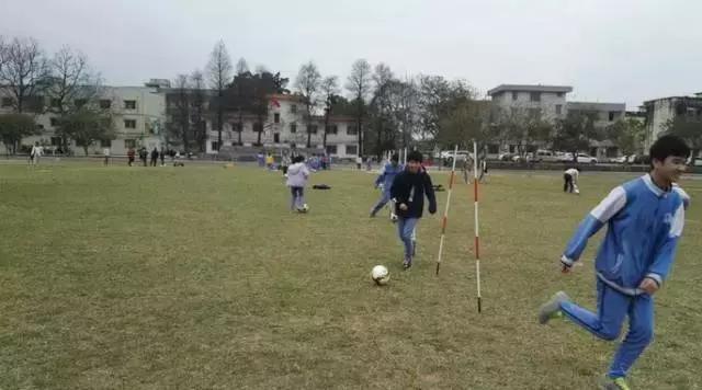 广东足球学校有哪几所,肇庆有国家重点学校吗