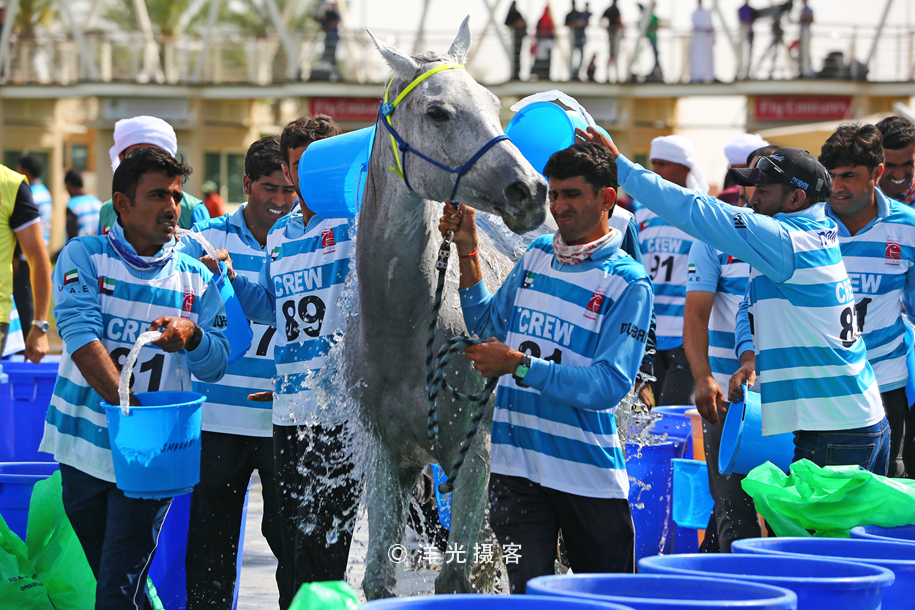 为什么迪拜土豪最有钱,真正的迪拜土豪