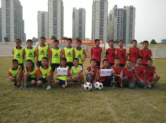 肇庆市全国特色学校,肇庆市足球特色学校