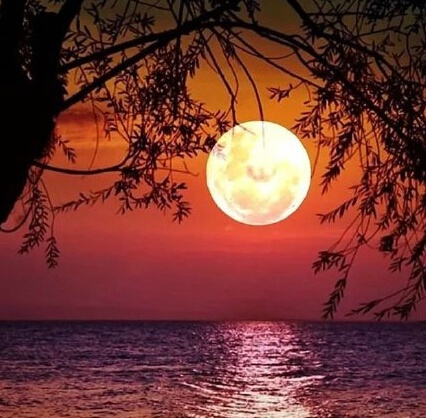 从三毛流浪记中感悟,三毛的经典一句话