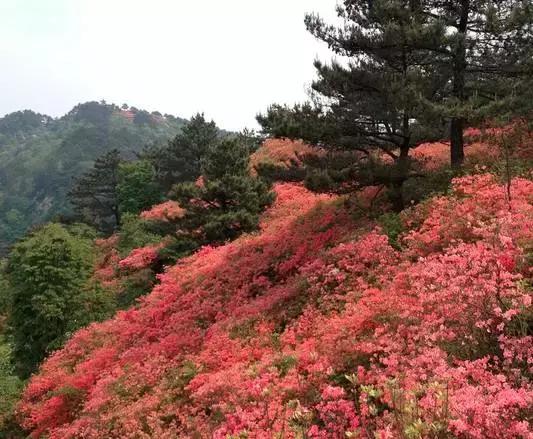 天津出发8小时能去哪旅游,天津出发卧铺一宿能到达的城市