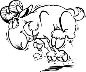 十二生肖五行相生相合,十二生肖五行哪些和哪些相生