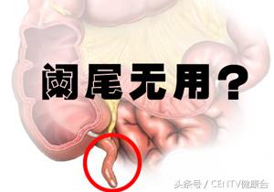 六小龄童齐天大圣再次聚首,齐天大圣六小龄童近况