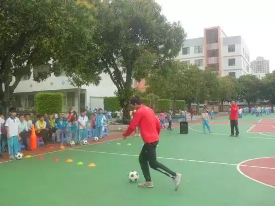 肇庆市全国特色学校,肇庆市足球特色学校