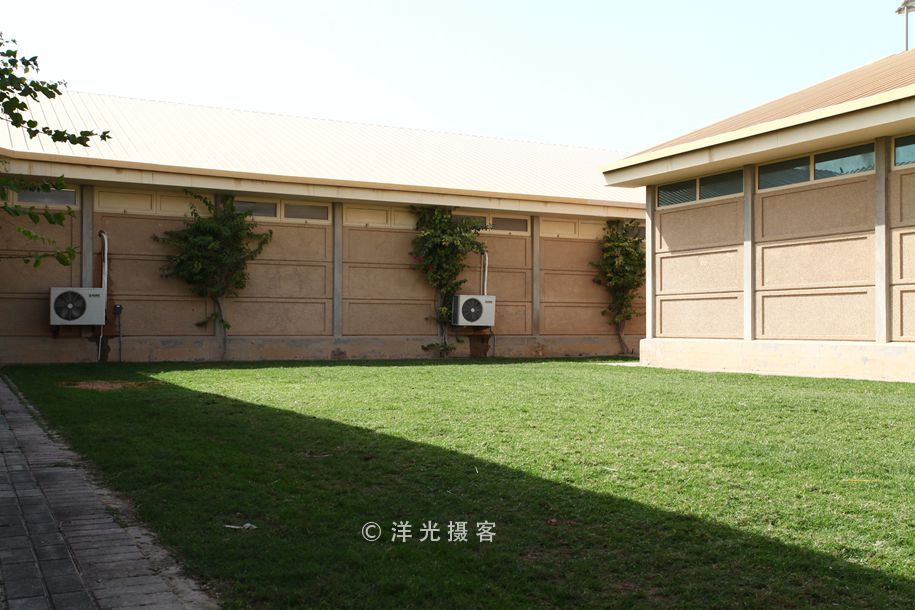 为什么迪拜土豪最有钱,真正的迪拜土豪