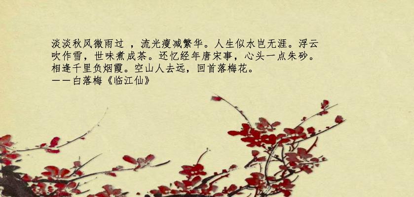 遇见白落梅，相遇不问缘由，重逢不问因果