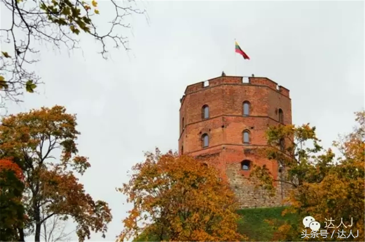 猜猜哪个国家连刺猬都有路牌？