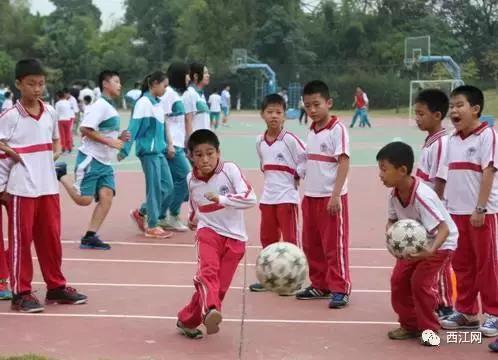 肇庆市足球特色学校有哪些,肇庆市有哪些体育学校
