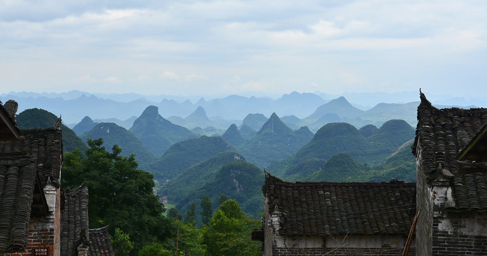 清明深圳周边一日游好去处,深圳仙湖植物园清明踏青赏花