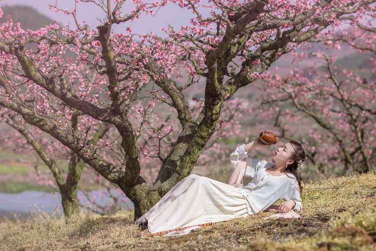 嗨哩文旅怎么样,嗨哩文旅最新视频