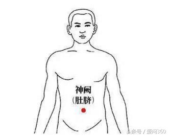 中药祛湿气是怎么把湿气排出的,排出湿气功能最强的19种食物