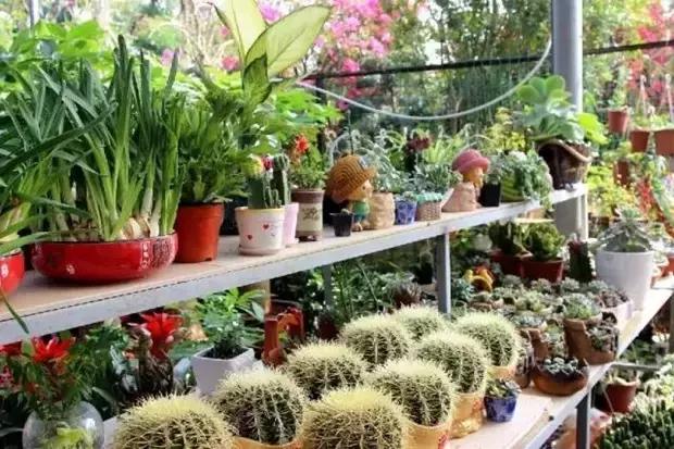 海口游玩攻略必去景点,海口旅游日常攻略大全最新