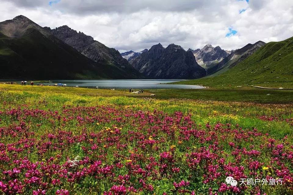 甘青川自驾游，别错过天神的后花园——年宝玉则，集三地之精华