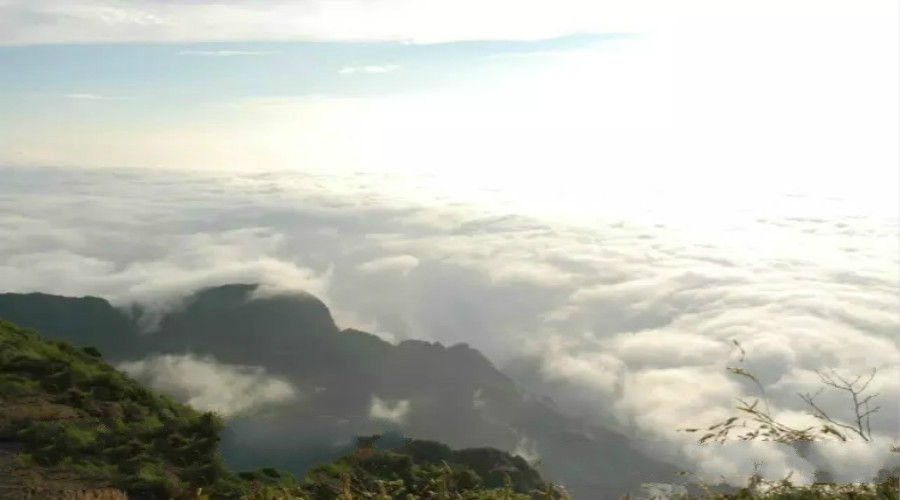 强迫症的自我治疗方法（柳暗花明又一村）