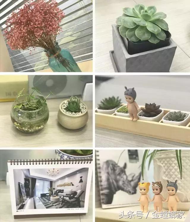 对不起，我要去金螳螂上班了，记得装修找我哦……