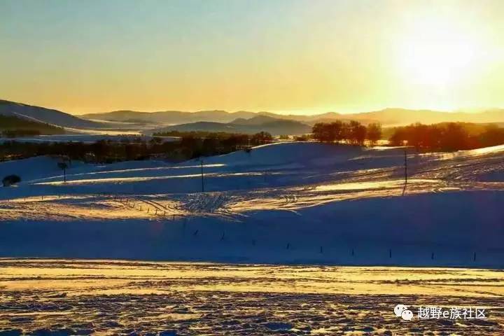陪伴是最长情的告白——我和切诺基的故事