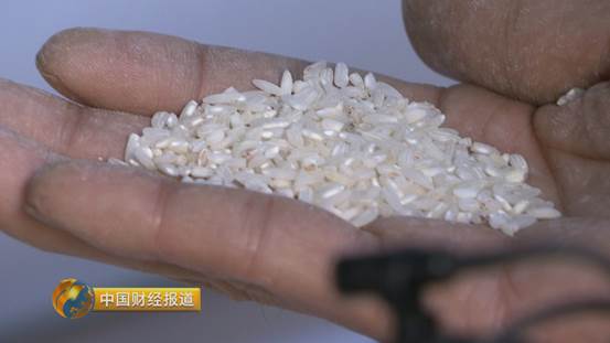 买到假五常大米怎么办,市场上常见的假冒五常大米