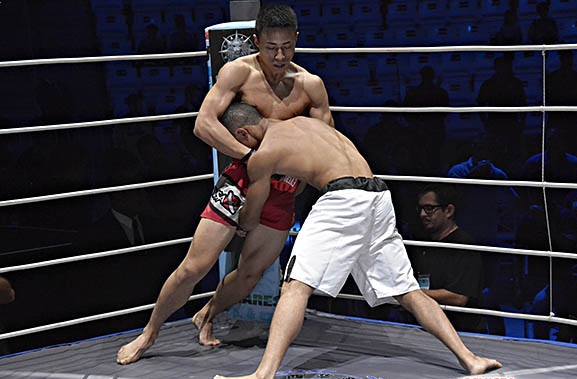 19岁的他前途无量:重拳直击巴西柔术高手面门,强势TKO获胜