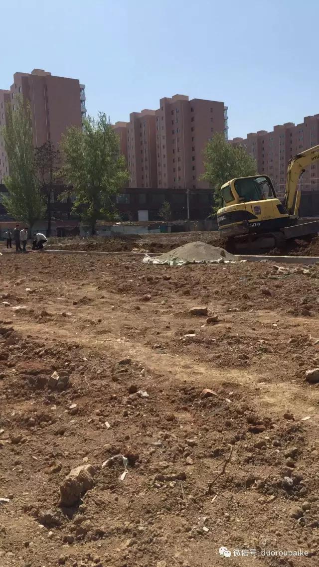 多肉为什么比较坑,多肉基础知识详解