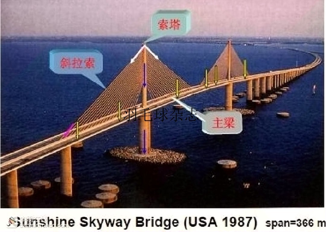 李龙大教学,李龙大现场训练