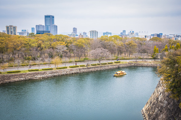 樱花烂漫几多时完整版,日本樱花节赏樱攻略视频大全