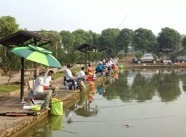 打窝钓鱼的六大方略,十六斤玉米粉打窝