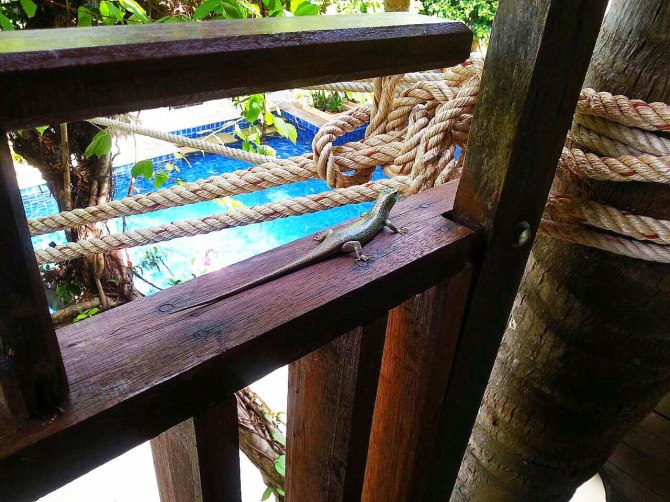 阳光沙滩海浪旅行日记,普吉甲米跟团游游记