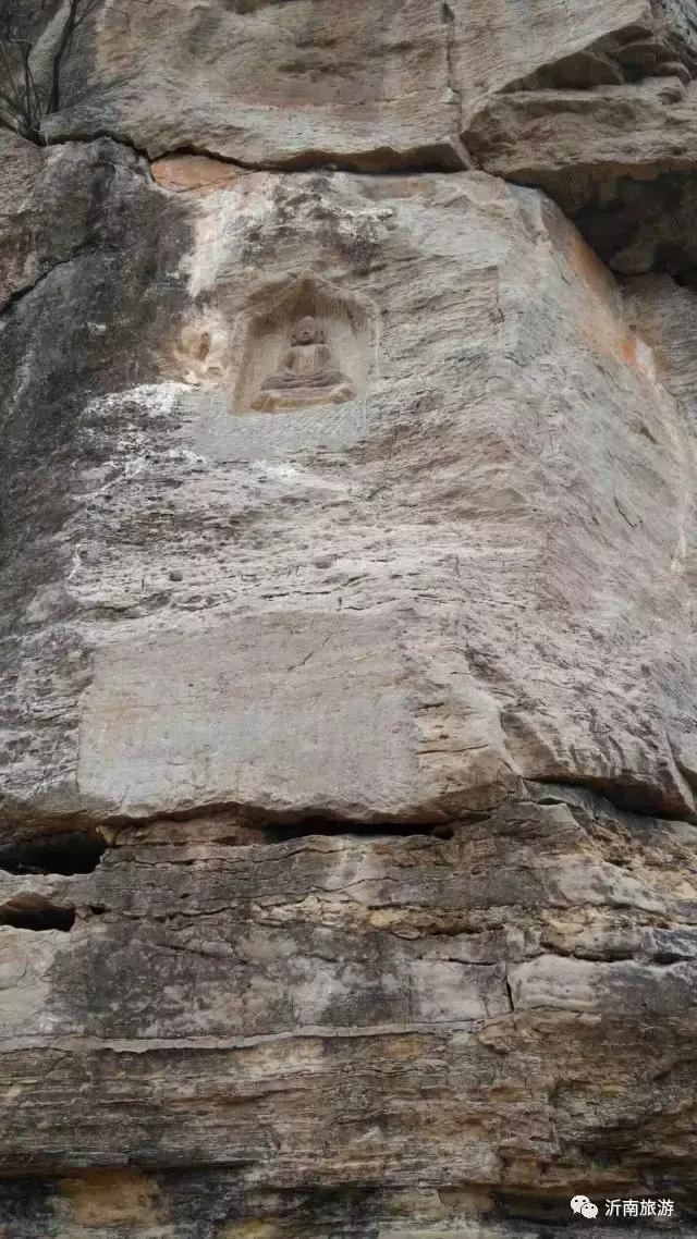 山东沂南秋日花海醉游人,沂南周边看梨花景点