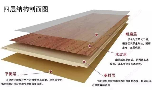 哪里能看到金刚骷髅岛,金刚骷髅岛神秘大揭秘