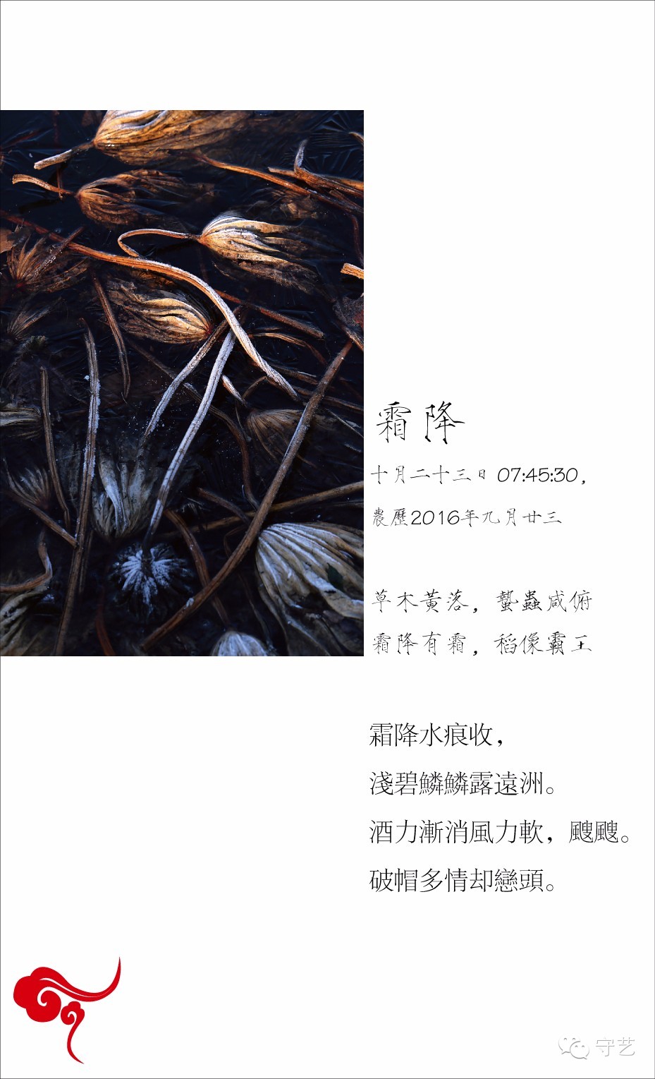 关于二十四节气的风景图片,美图二十四节气