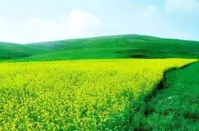 包头青山骑行到希拉穆仁草原,包头骑行圣地