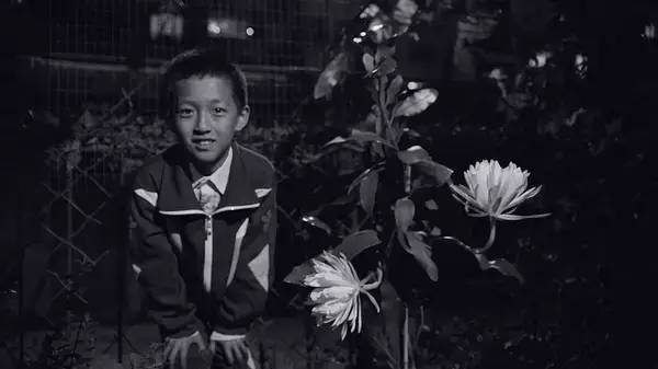 观影｜变革时代的诗意叙写——评张大磊导演电影《八月》