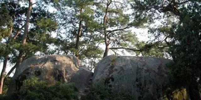 青田旅游路线推荐,青田周末自驾游