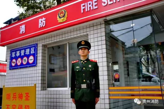 警徽闪耀忠魂视频,警魂闪耀照亮警徽图片