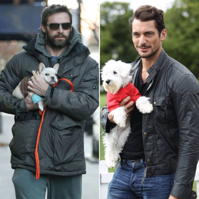 男明星荷尔蒙爆棚,被称为荷尔蒙爆棚的男明星