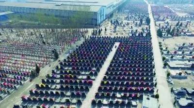 「看法」贪便宜以为买了个“安身”地说不定啥时候就被“挖坟掘墓”迁移了……