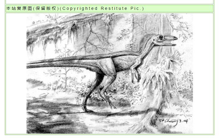 关于科普恐龙的网站,关于恐龙的科普书