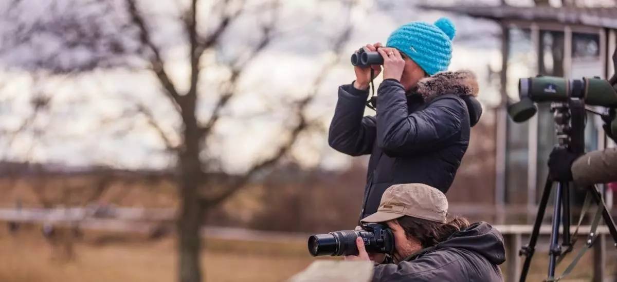 鏄ョ敯鑺辫姳鏃ュ父,鏄ョ敯鑺辫姳鑻辫