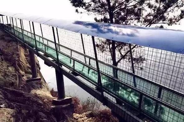 玻璃滑道断裂游客险坠落后续,景区玻璃栈道发生事故