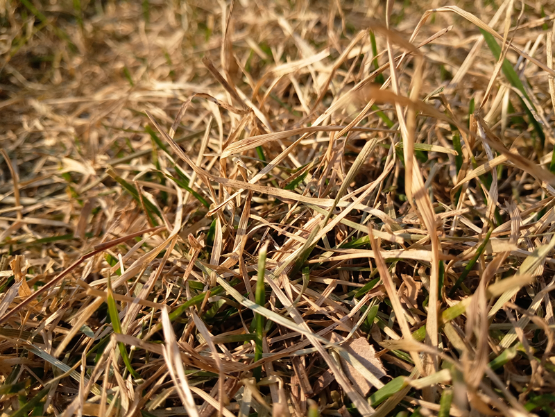 魅族mx6更换总成教程,魅族mx6和note6