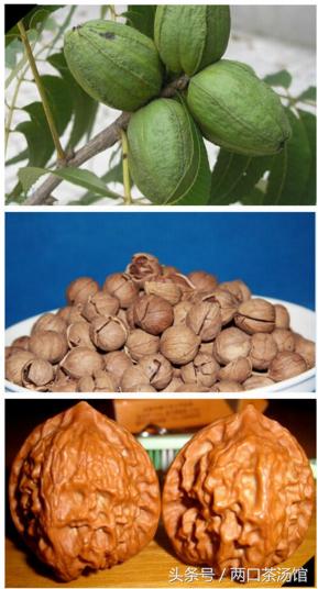 大别山深处的绝美山珍!