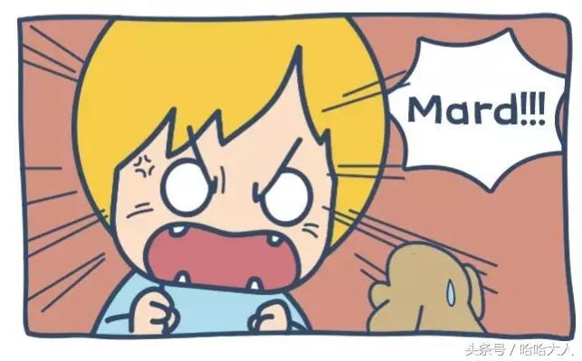 狗狗撕家怎么管教,狗狗撕家视频