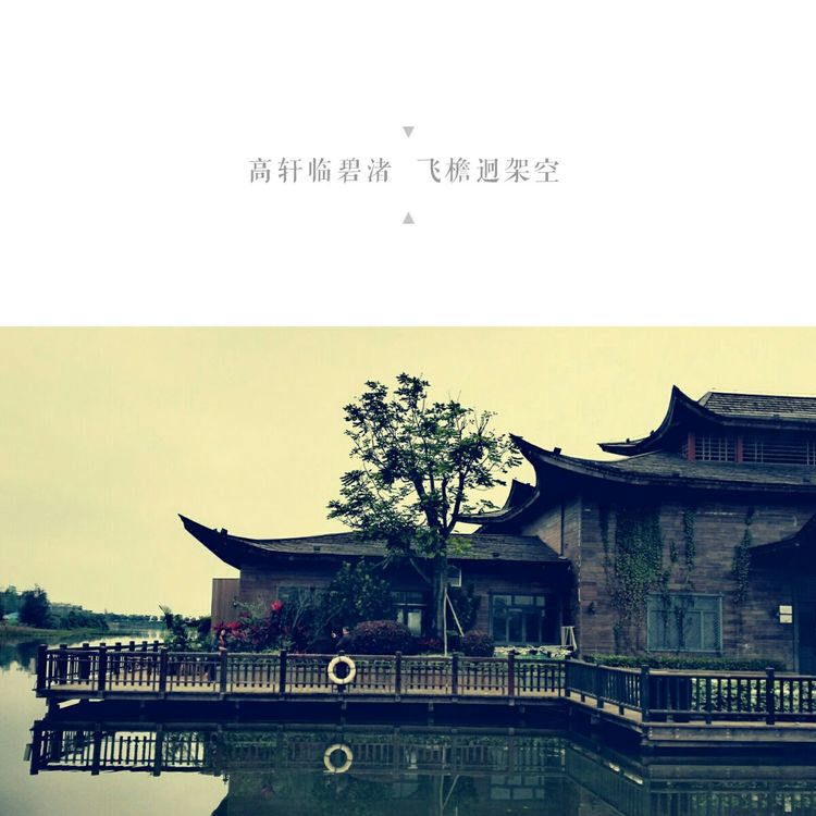 海南之旅感悟,海南行的点滴回忆