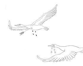 文化沧州｜仲植《九河下梢的动物》