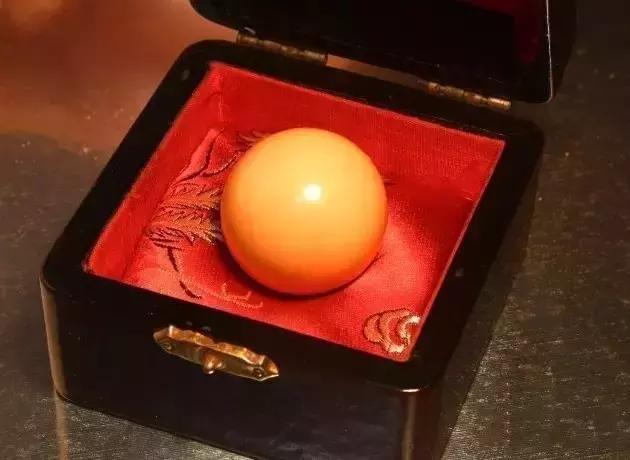 海螺吐出龙珠的视频,海螺吃出天价龙珠